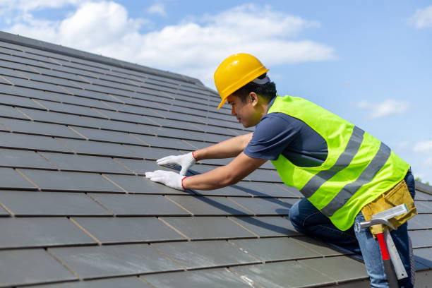 Best Metal Roofing Contractor  in Shelburn, IN